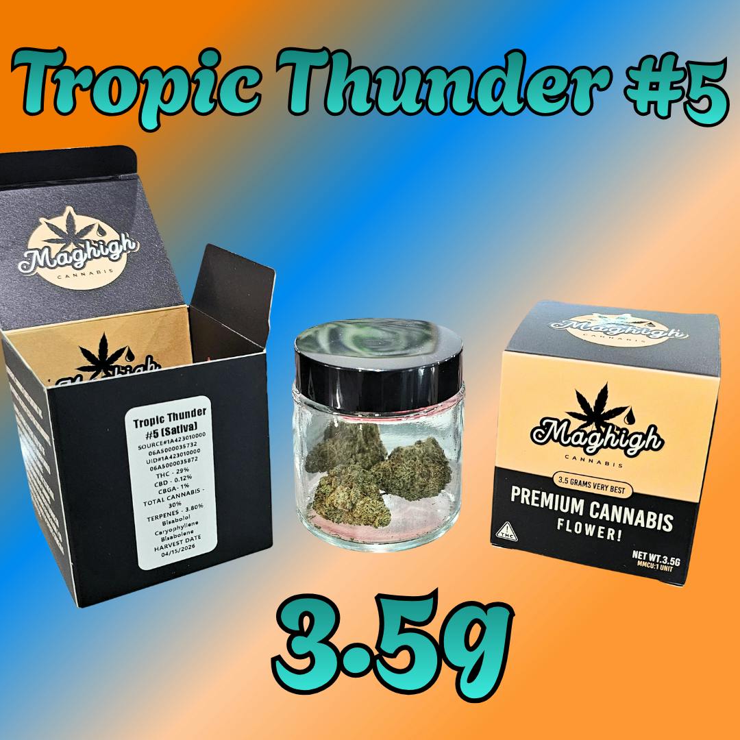 MagHigh 3.5g | Tropic Thunder #5