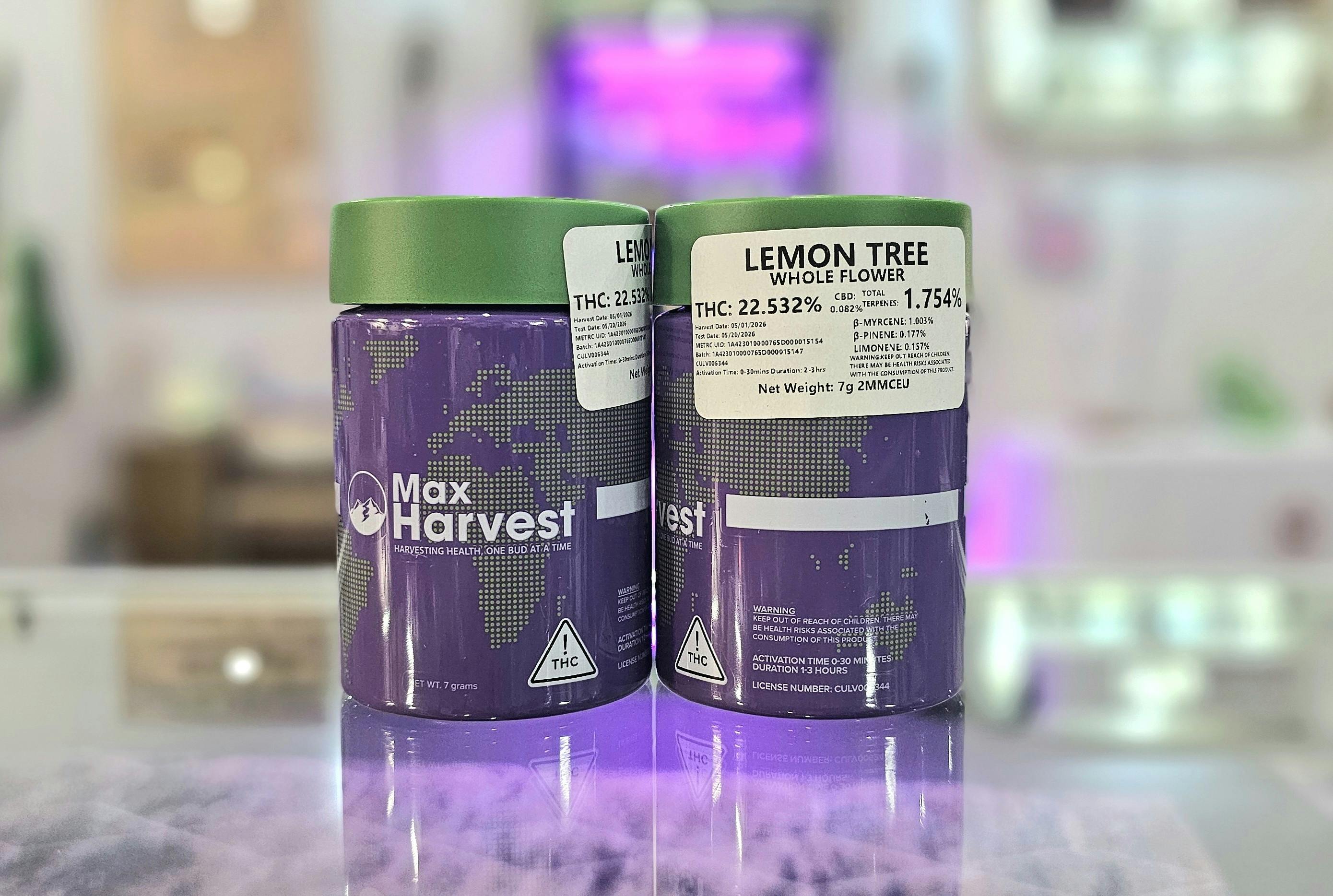 Max Harvest 7g | Lemon Tree