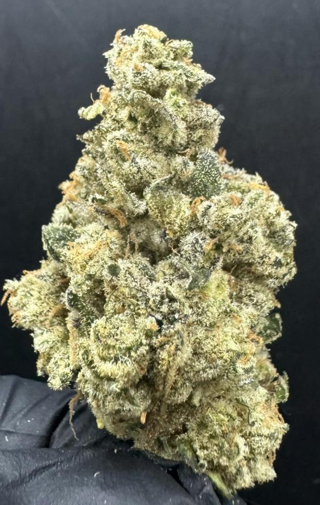 Scented Marker #3 7g - 27.3% - Kind Life - Hybrid