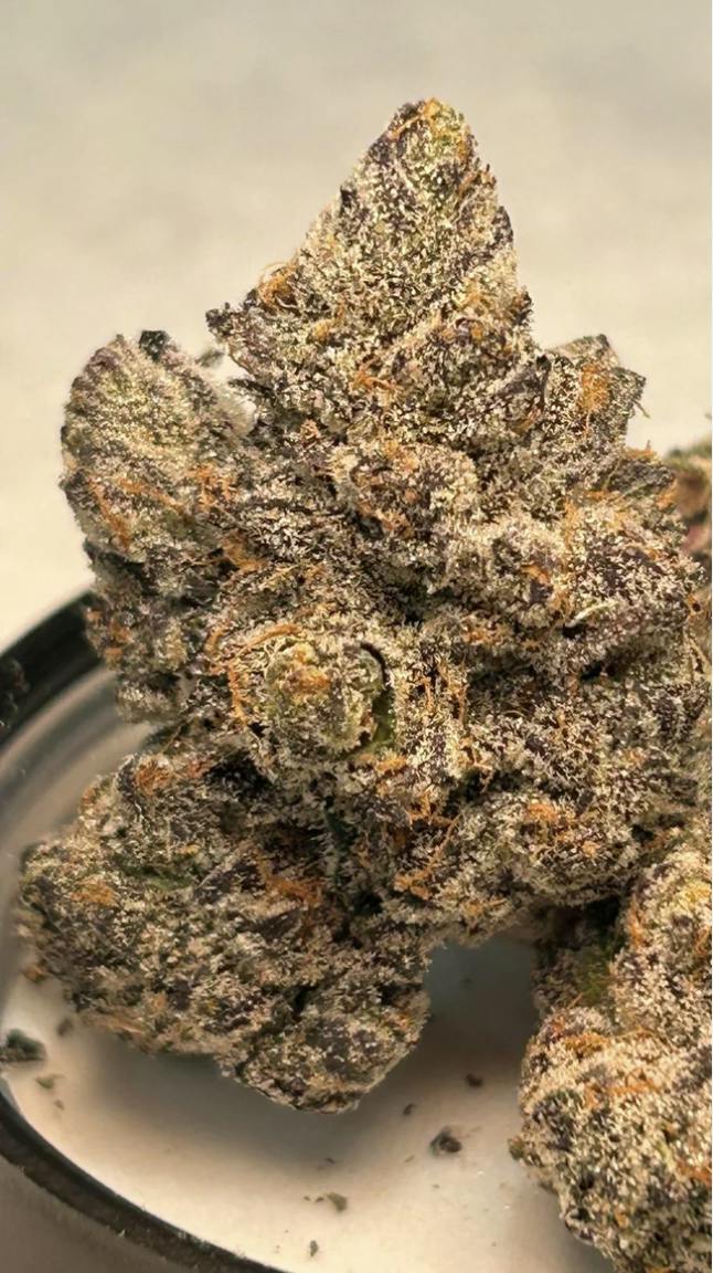 Lemon Sherbet 3.5g - 24.2% - SHC - Sativa Hybrid