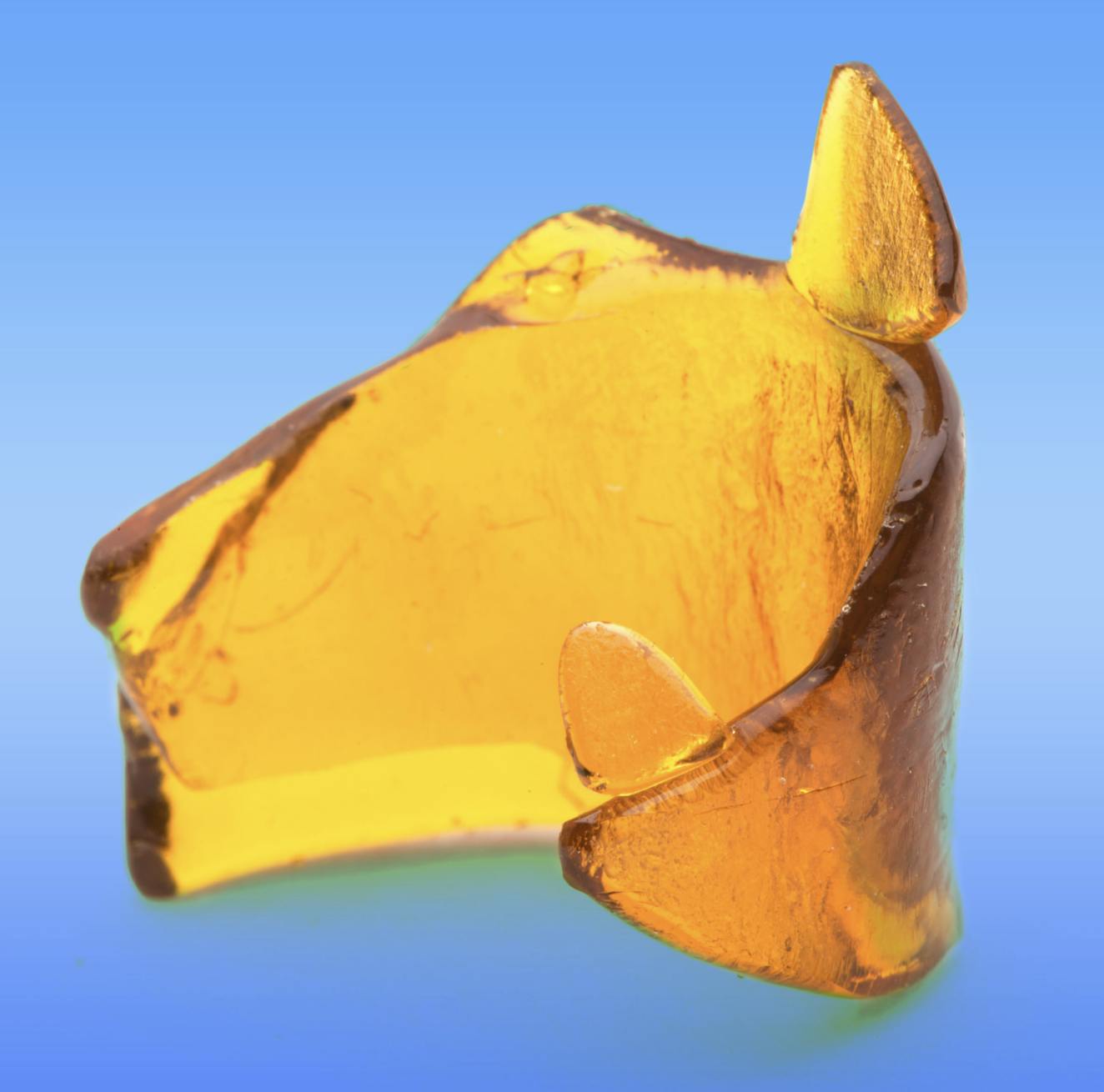 Acapulco Gold Lions Paw