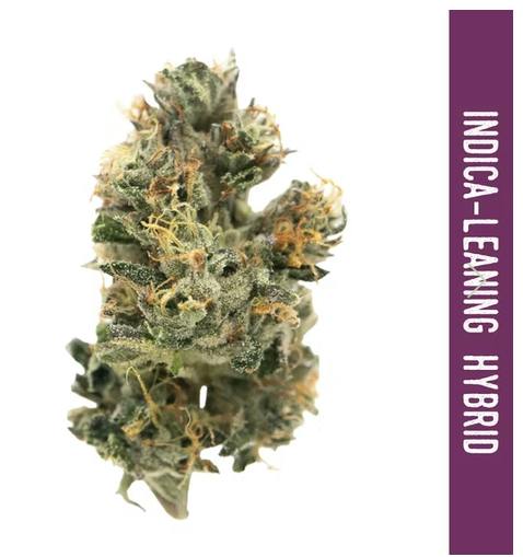 Kosher Dawg 3.5g - New Altitude - 28.9% - Indica