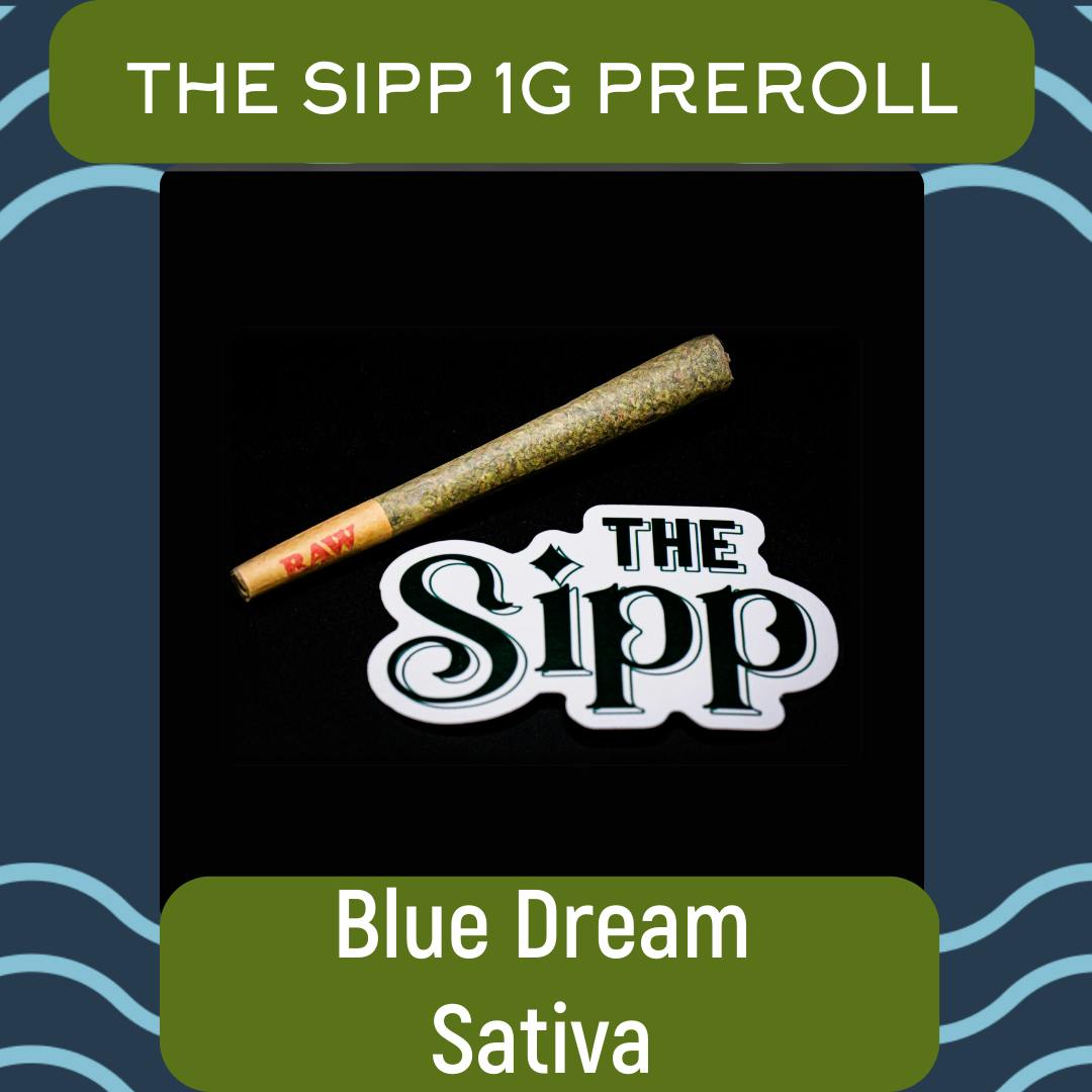 Blue Dream 1g Preroll - The Sipp - 21.2% - Sativa