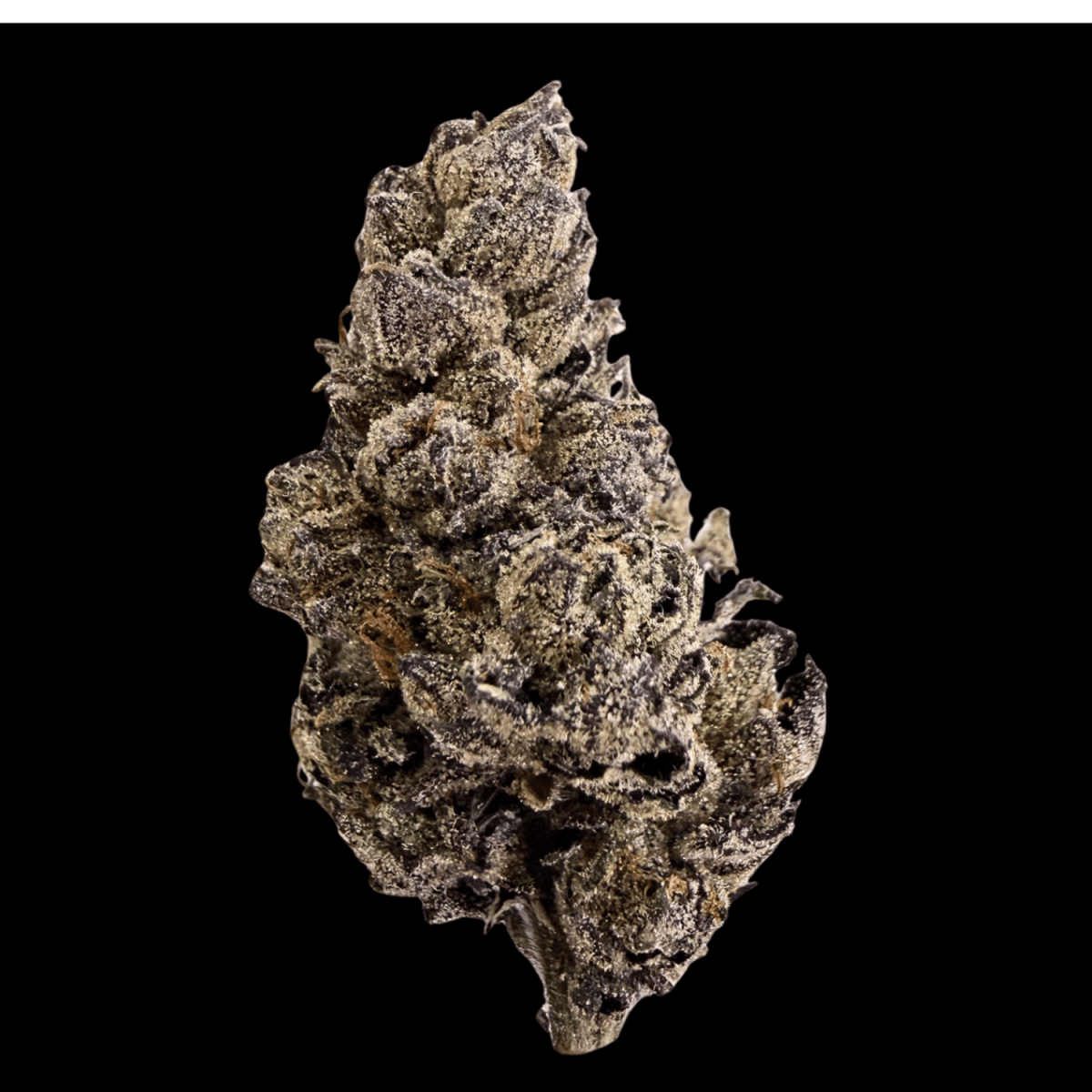 Black Runtz 14g - GRUV - 22.6% - Hybrid