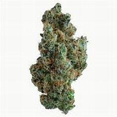 Applescotti 3.5g - Young Goat - 25% - Sativa/Hybrid