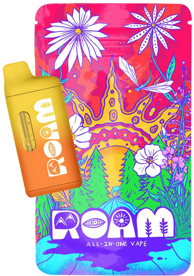 Roam - Live Resin Disposable - Chem TK (H) (1.0g)