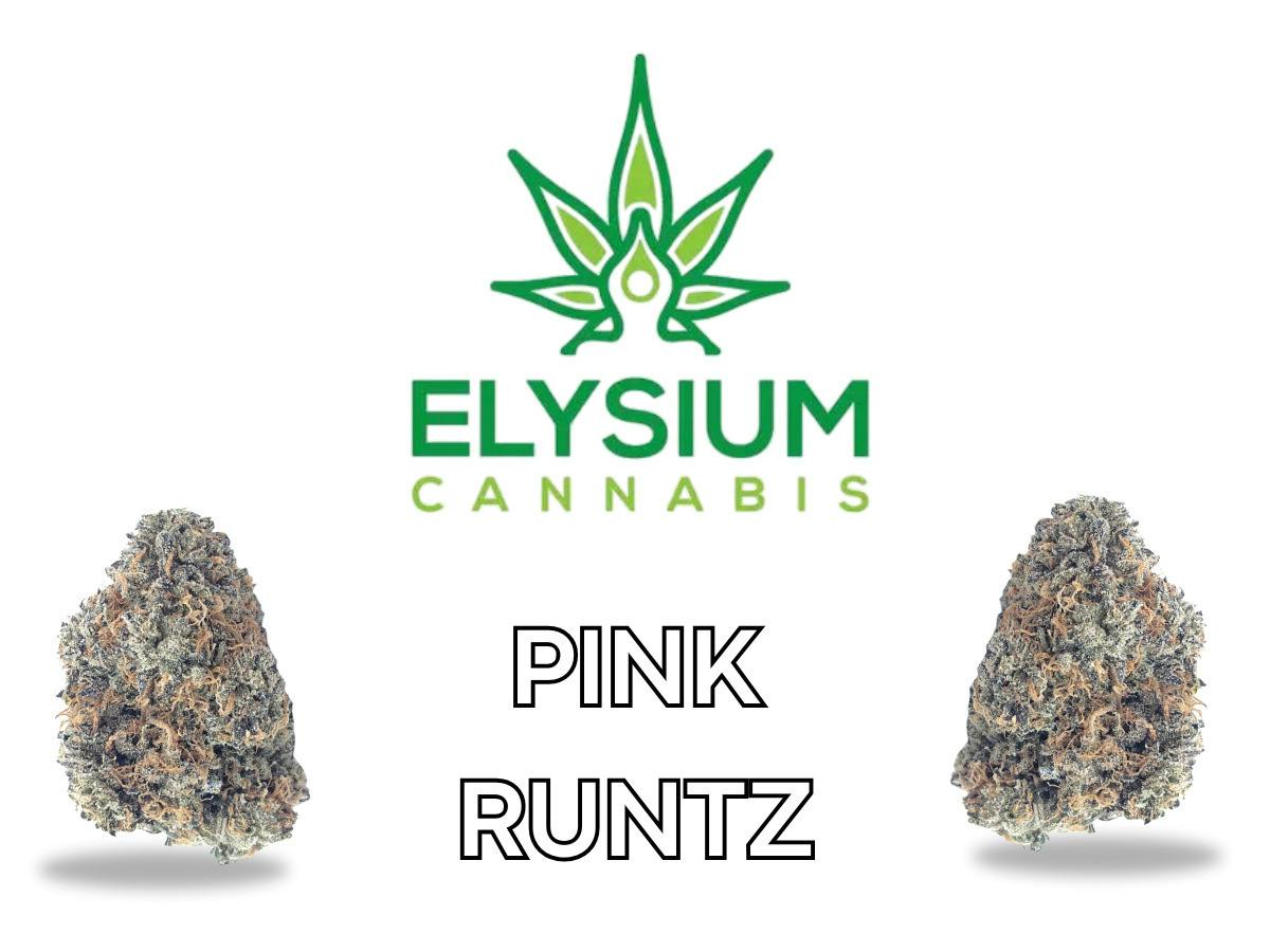 ELYSIUM | PINK RUNTZ | BULK | HYBRID