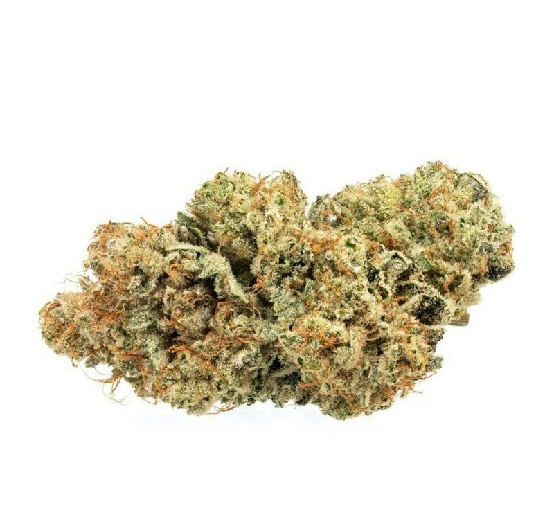 HIGH GRADE | FROSTED WAFFLES | BULK | HYBRID