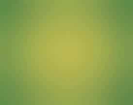 Firefly Organics | Motorbreath