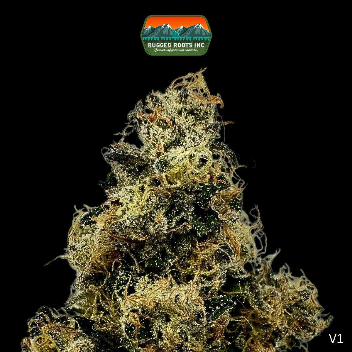 Rugged Roots | Sherbanger #22 Dime Bag at Rugged Roots Trading Post