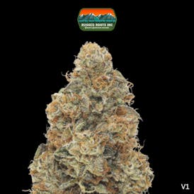Rugged Roots | Khalifa Kush