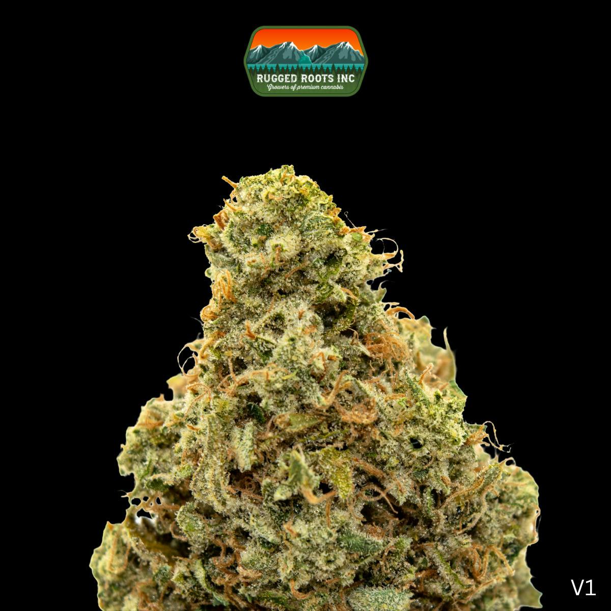 Rugged Roots | Rainbow Driver