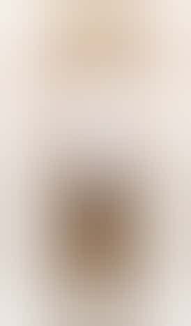 Medible Delights | Pumpkin & Peanut Butter CBD Hemp Dog Treats