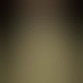 Rugged Roots | Vitamin Diesel Dime Bag