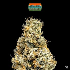 Rugged Roots | LA Kush Cake