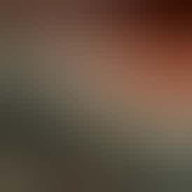 Rugged Roots | Black Cherry Gelato 0.5g Pre Roll 2 Pack