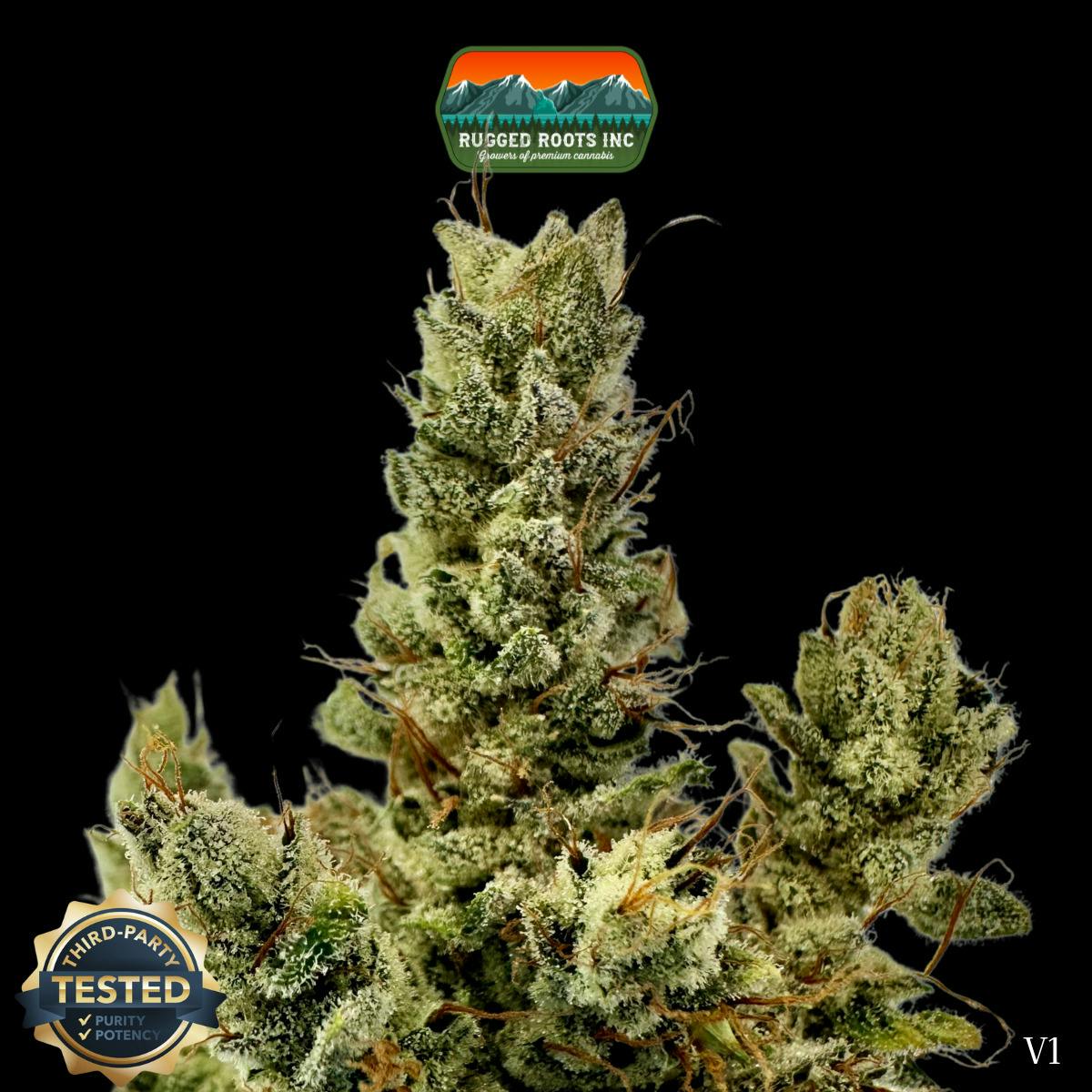 Rugged Roots | Gorilla Glue Dime Bag at Rugged Roots Trading Post- Bangor