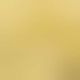 Rugged Roots+Tripp's | Lemoncello Gummies