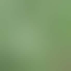 Rugged Roots+Tripp's | Green Apple Gummies