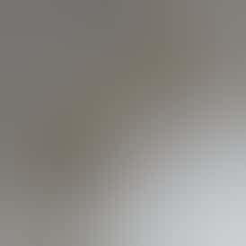 Kind Farms | Grape Cream Cake