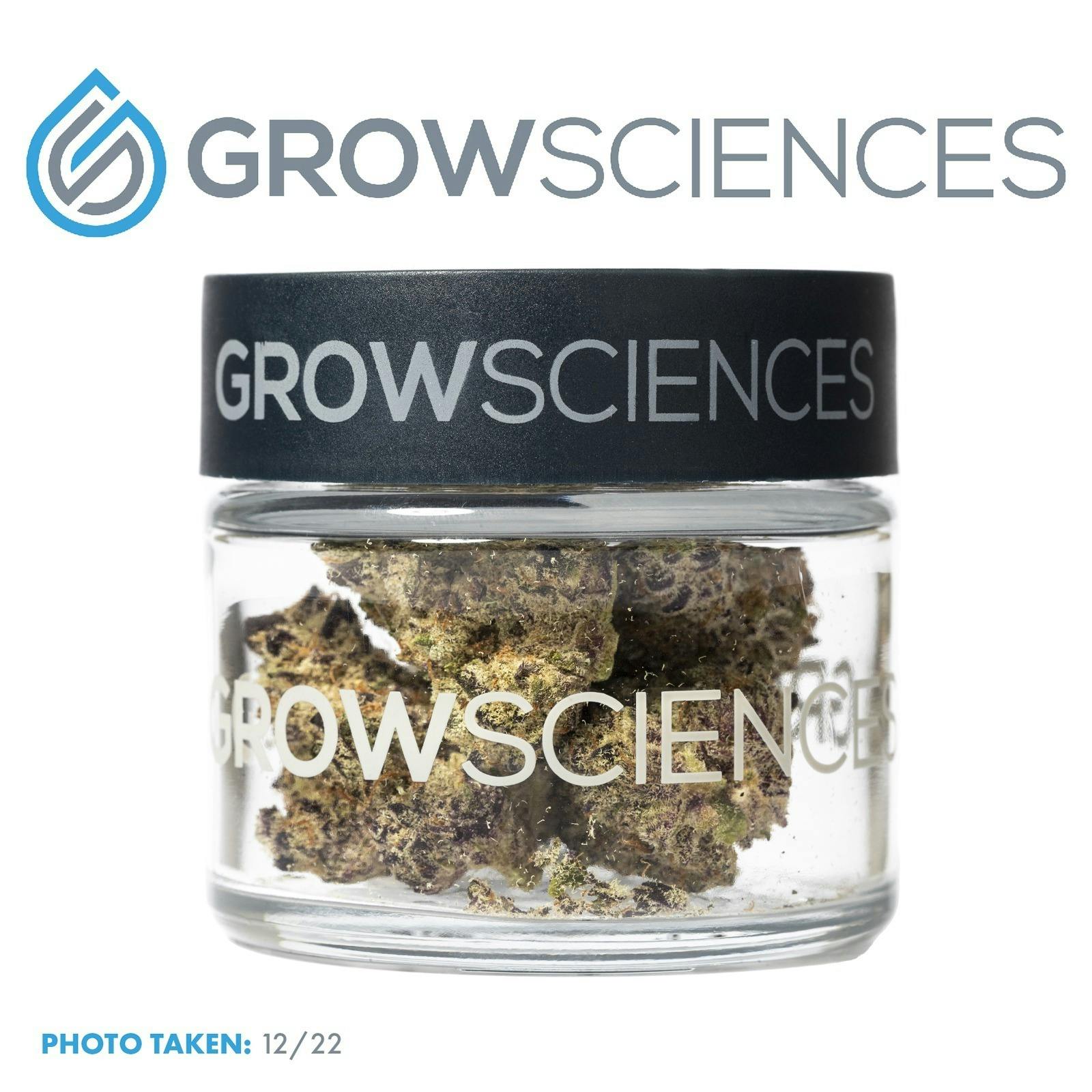 Grow Sciences | 3.7g Flower Jar | Flashbang