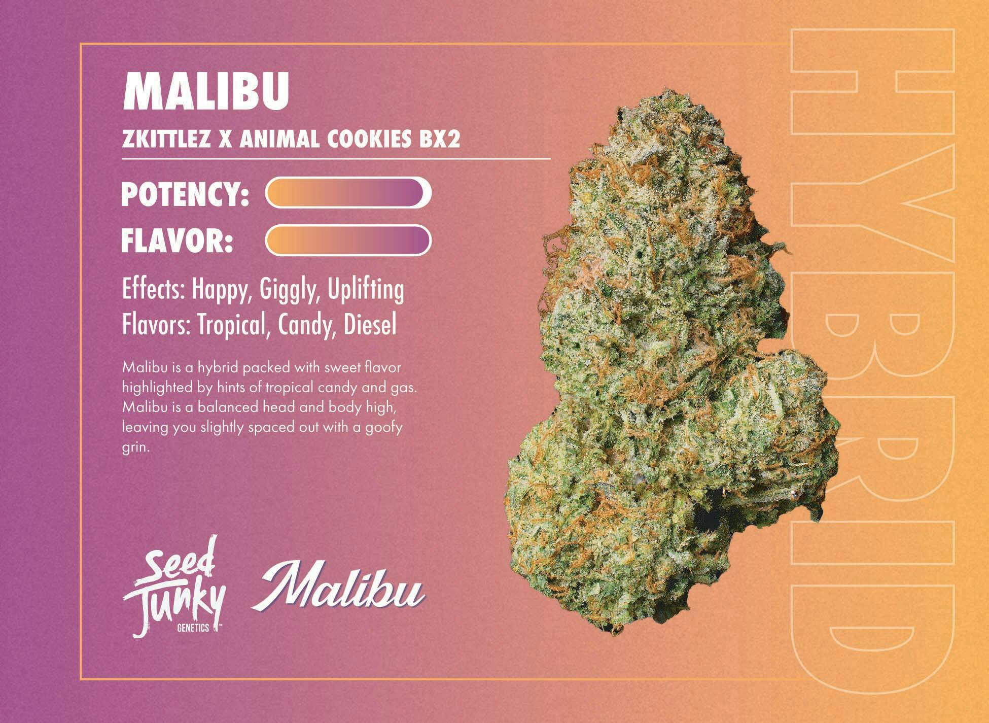 Seed Junky | 3.5g Flower Jar | Malibu