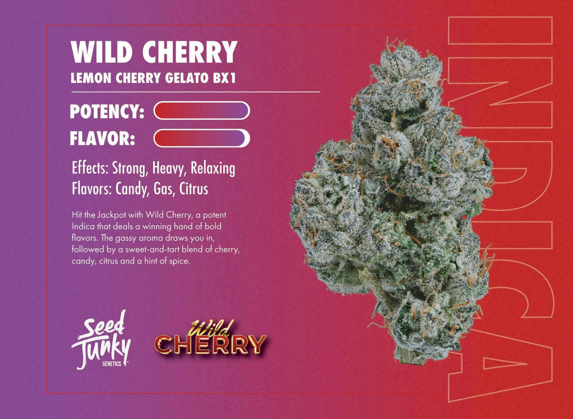Seed Junky | 3.5g Flower Jar | Wild Cherry