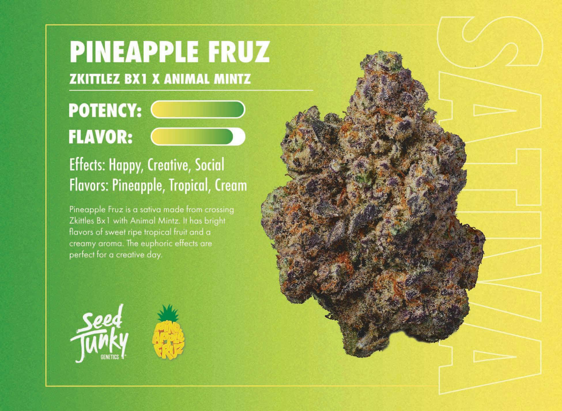 Seed Junky | 3.5g Flower Jar | Pineapple Fruz