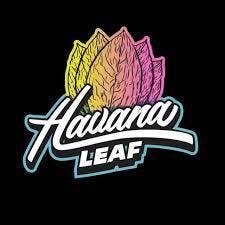 Accessories | Little Havana Leaf | 2-Pack Wraps | Peach