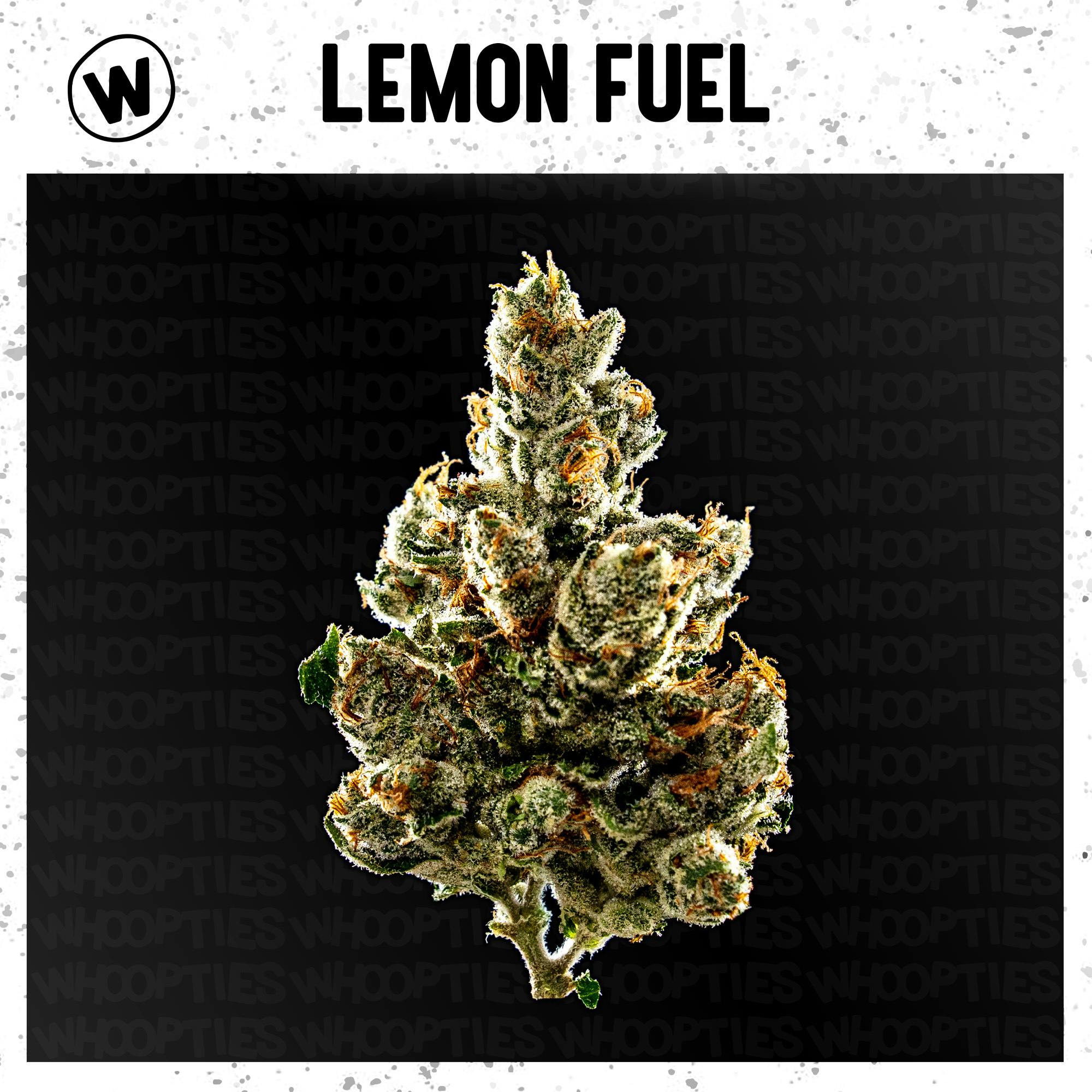 Whoopties | Deli Flower | Lemon Fuel