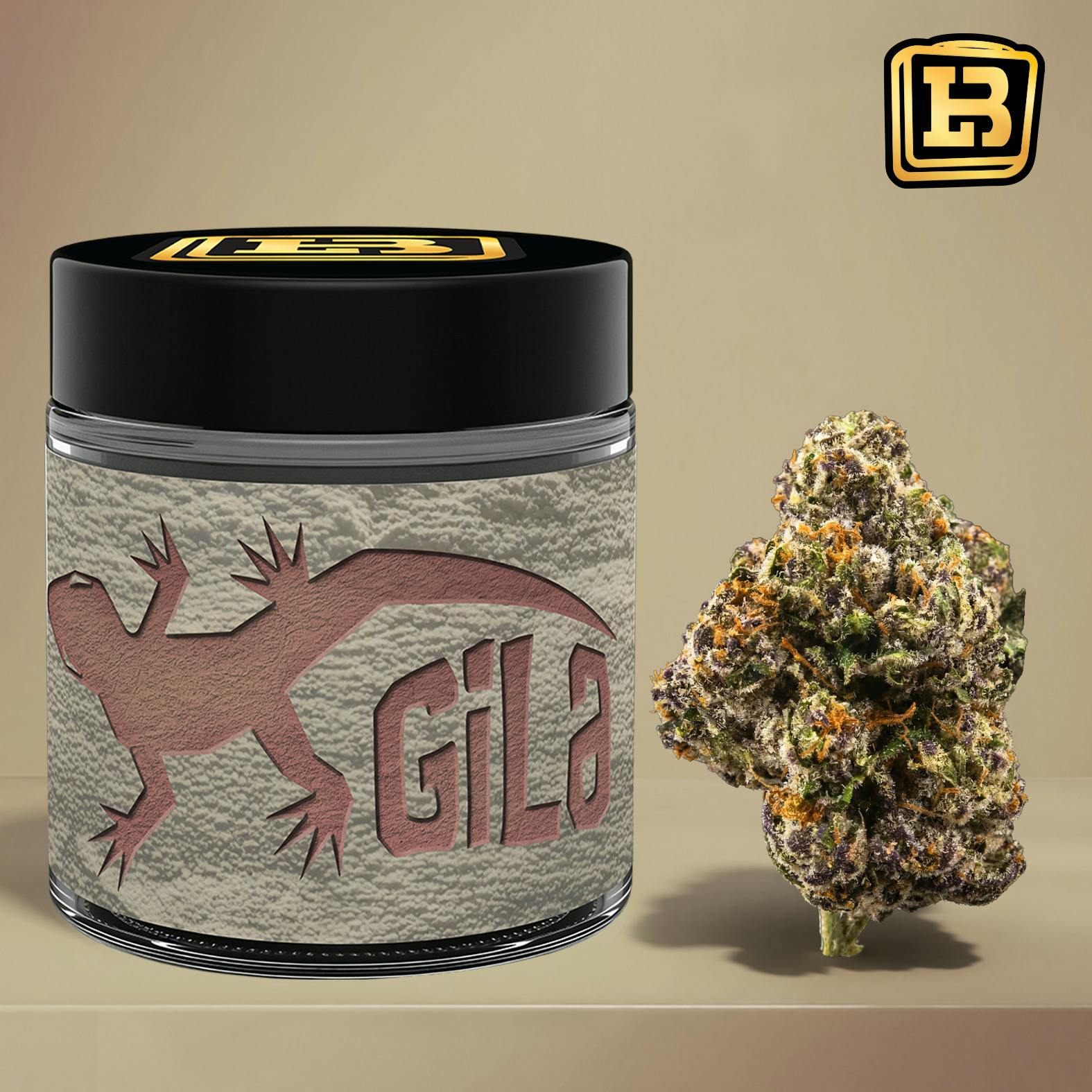 Lunch Box | 3.5g Flower Mylar | Gila