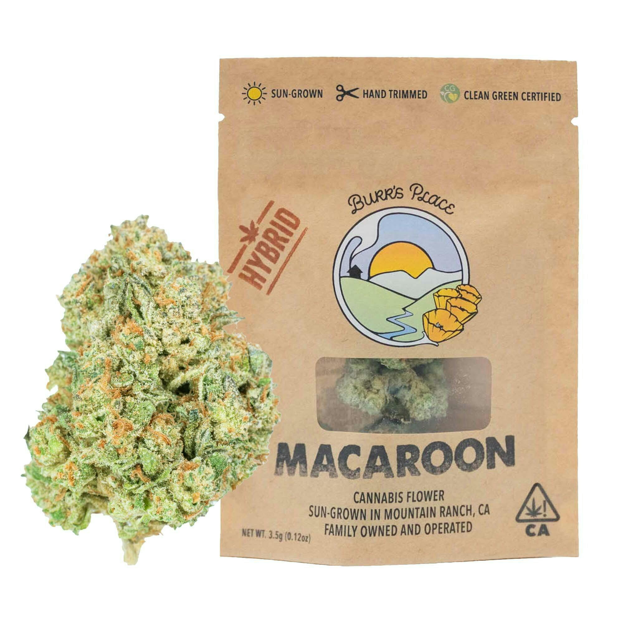 $20: Macaroon - Burrs Place