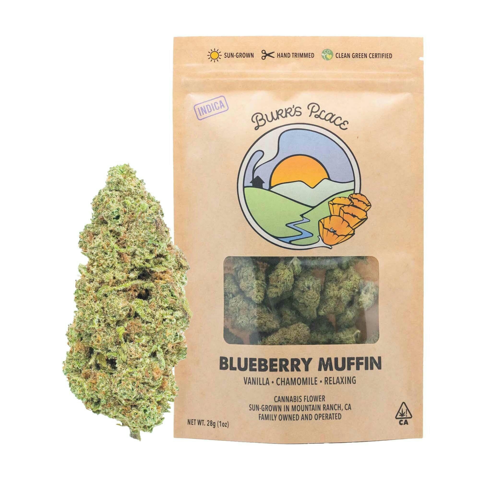$20 - Blueberry: Muffin - Burrs Place