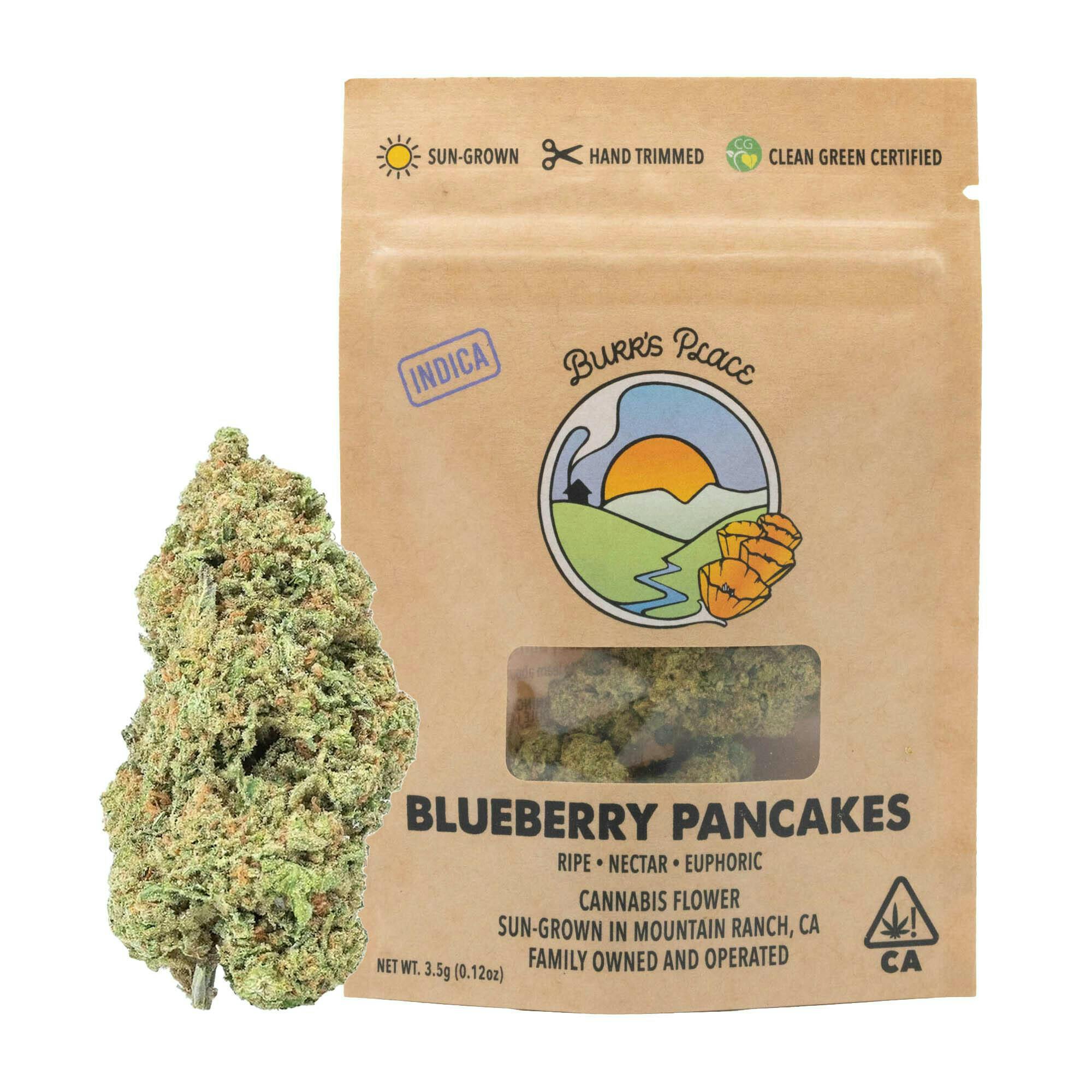 $20 - Blueberry Pancakes (Flower) - Burrs Place - 3.5g