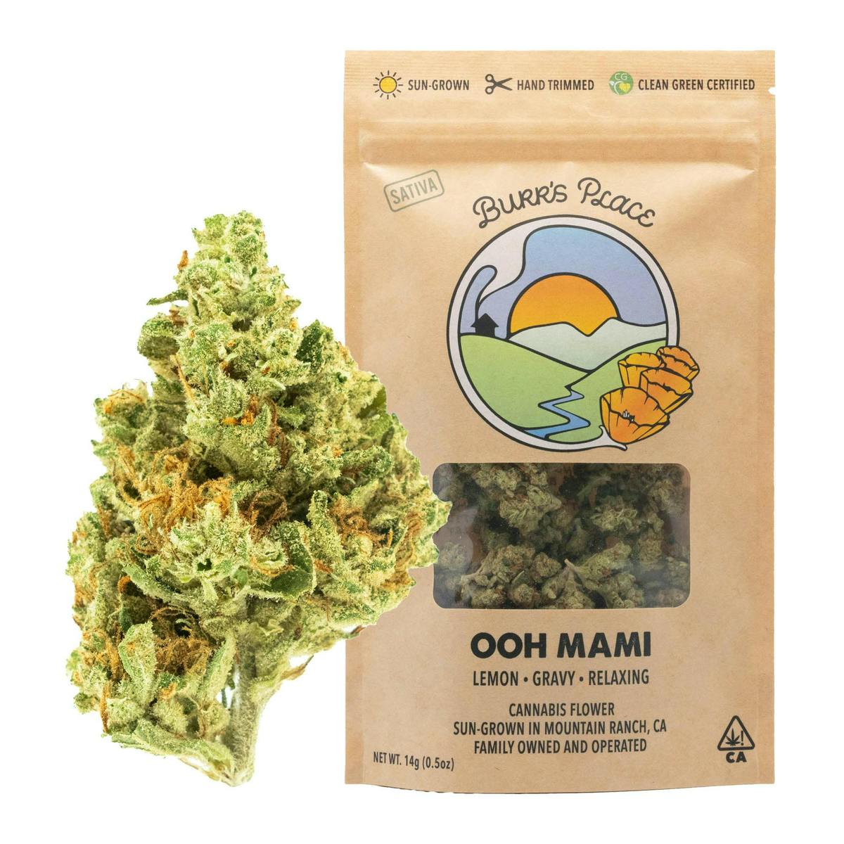 $65 - Ooh Mami (Flower) - Burrs Place - 14g