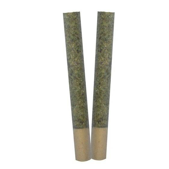 TRYGG Ignite Pre Rolls 2 x 1g