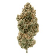 Simply Bare Organic BC Organic Tangerine Sunrise 3.5g
