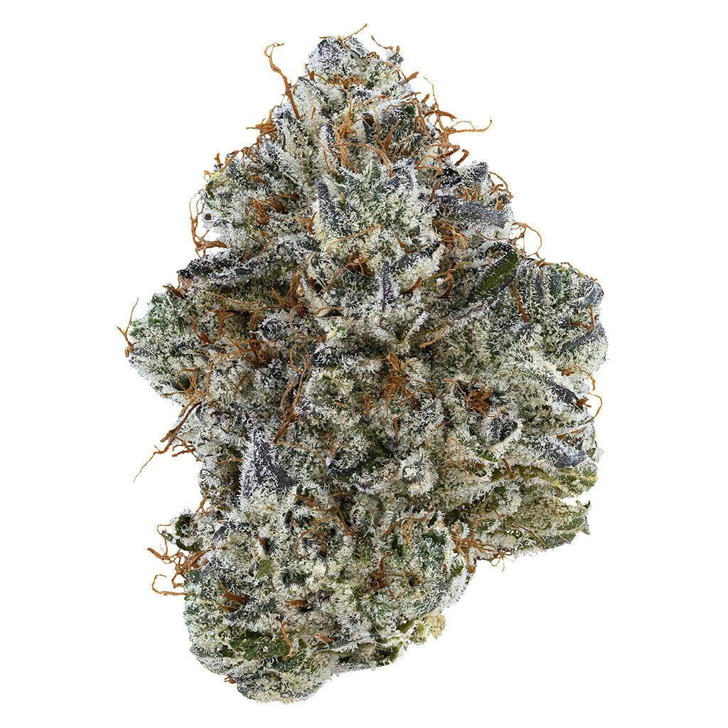 Neon Sunshine 14g Dried Flower