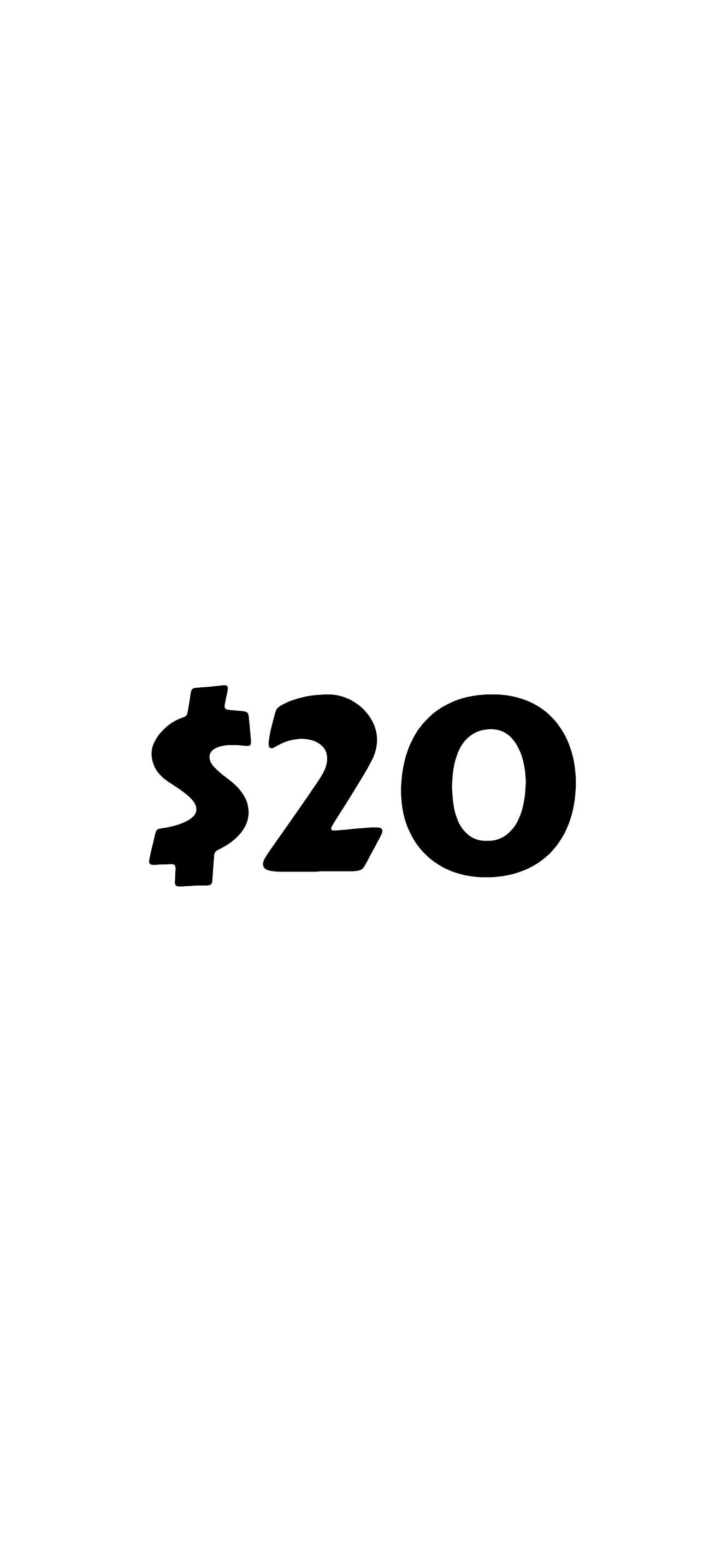 Glass | $20 Pipe