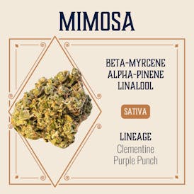 Mimosa (3.5g)