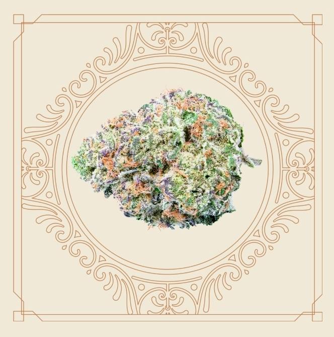 Platinum Lemon Cherry Gelato Whole Flower