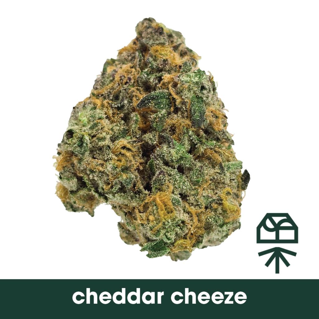 Grassroots Cheddar Cheeze Diamond Infused Whole Flower 3.5g