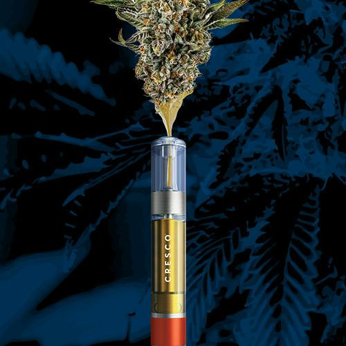 Cresco Mango Mintality Liquid Live Resin Cartridge 1g