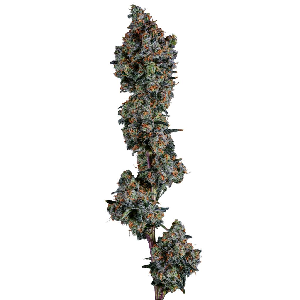 Find. Floral Frost Popcorn 28g