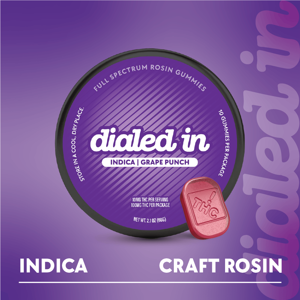 Dialed In Grape Punch Live Rosin Gummies 10mg ea | 10-Pack