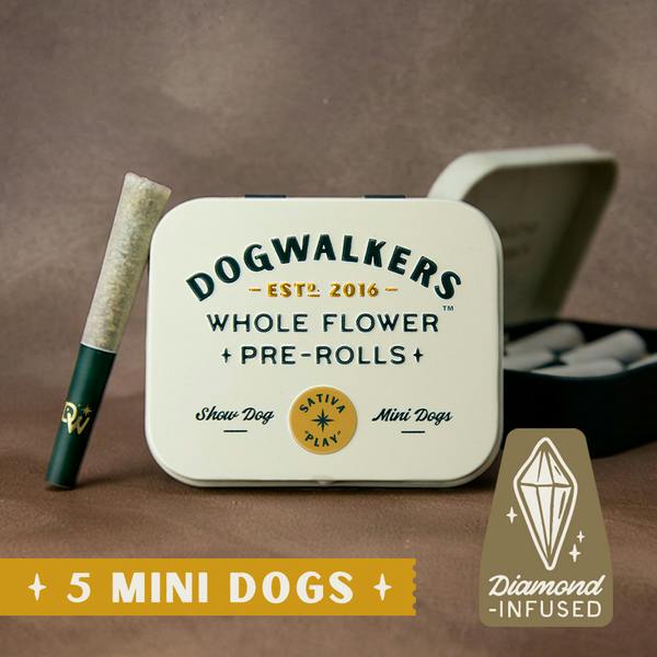 Dogwalkers Mini Show Dogs Beaver Cookies Infused Pre-Roll Pack 0.45g ea | 5-Pack