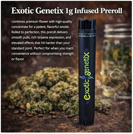 Exotic Genetix - Rainbow Chip 1g Infused Pr