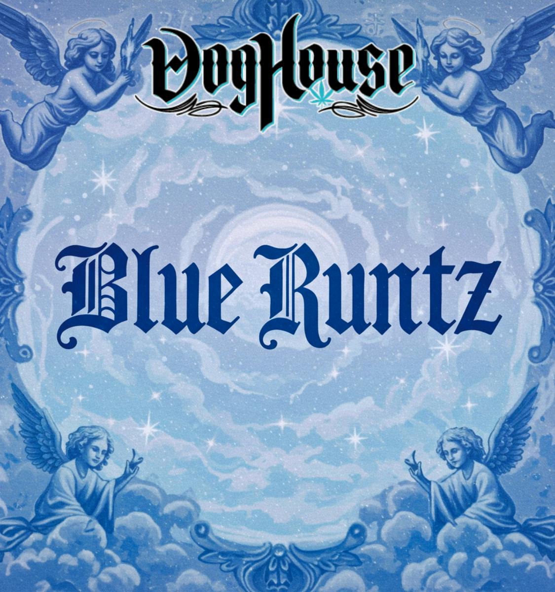 Zaza Tier Deli - Blue Runtz