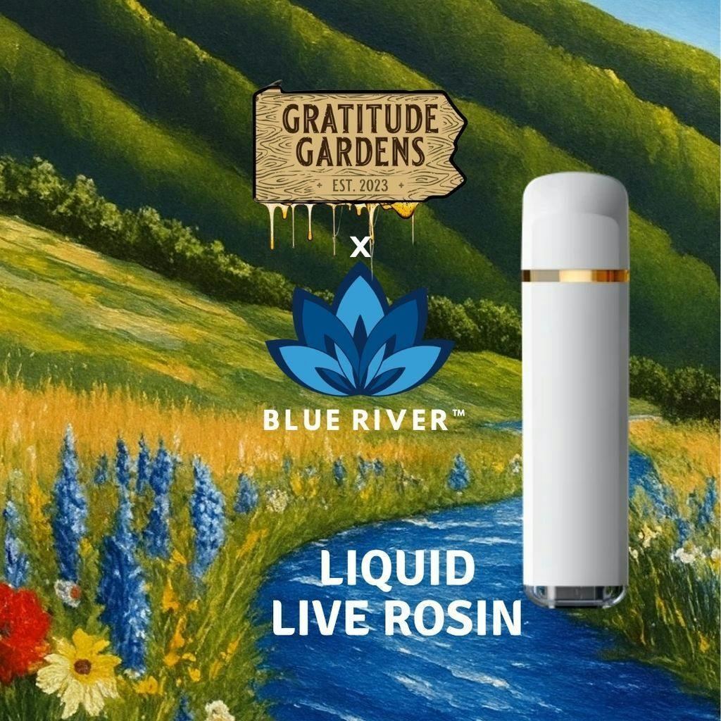 Gratitude Gardens Sweet Oasis Live Rosin 0.5g All-In-One