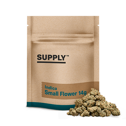 Supply™ Black Maple 14g Smalls